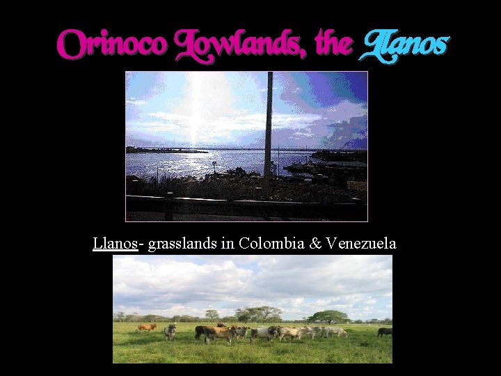 Orinoco Lowlands, the Llanos- grasslands in Colombia & Venezuela 