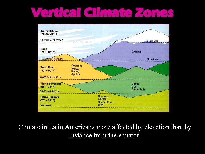 Vertical Climate Zones Climate in Latin America is more affected by elevation than by