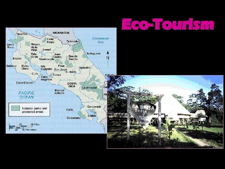 Eco-Tourism 