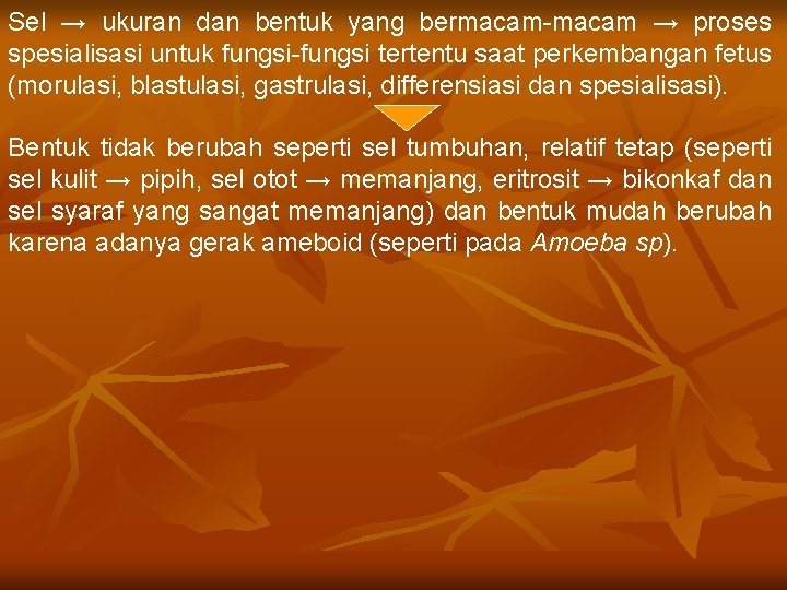 Sel → ukuran dan bentuk yang bermacam-macam → proses spesialisasi untuk fungsi-fungsi tertentu saat