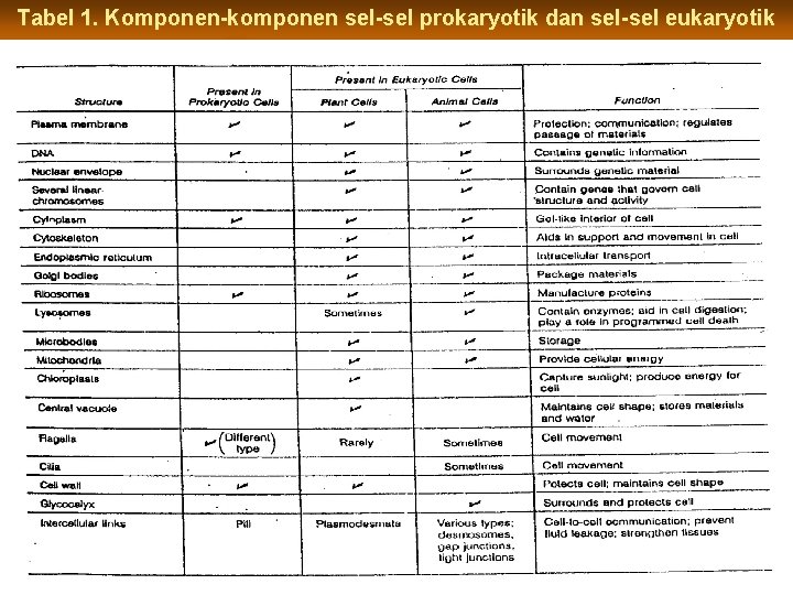 Tabel 1. Komponen-komponen sel-sel prokaryotik dan sel-sel eukaryotik 