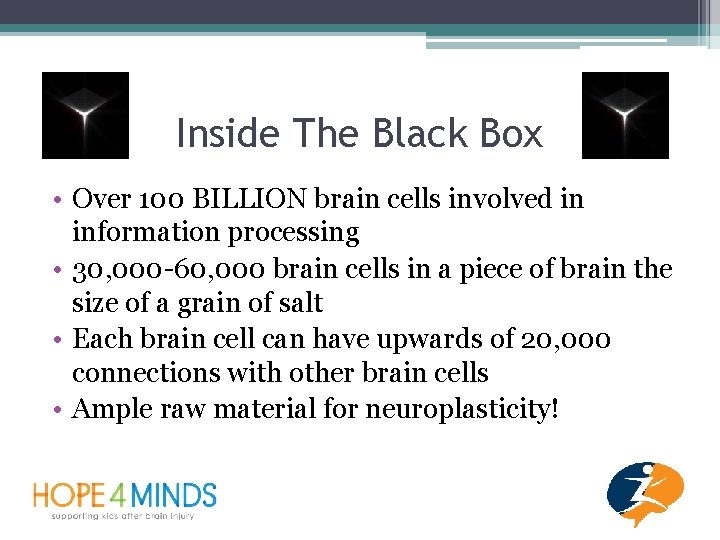 Inside The Black Box • Over 100 BILLION brain cells involved in information processing