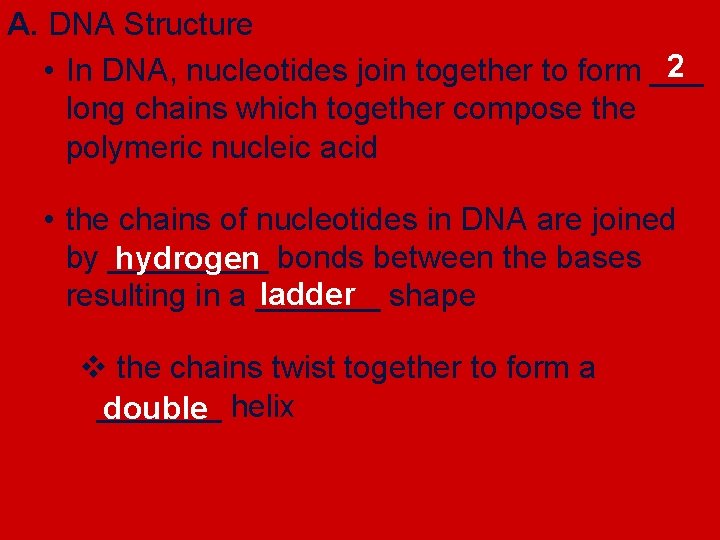 A. DNA Structure 2 • In DNA, nucleotides join together to form ___ long