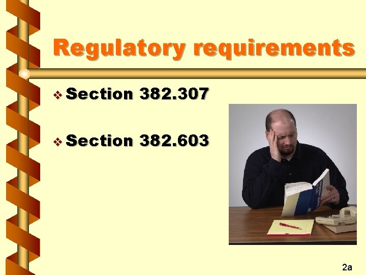 Regulatory requirements v Section 382. 307 v Section 382. 603 2 a 