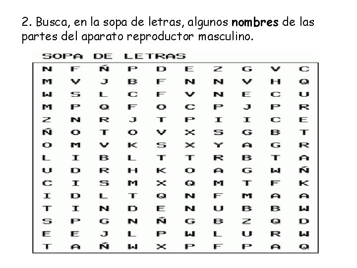 2. Busca, en la sopa de letras, algunos nombres de las partes del aparato