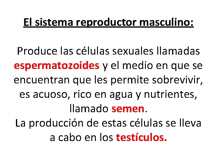 El sistema reproductor masculino: Produce las células sexuales llamadas espermatozoides y el medio en