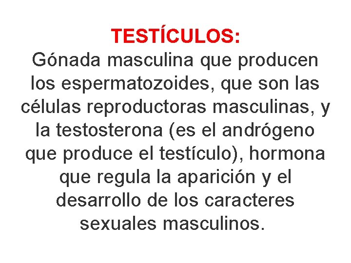 TESTÍCULOS: Gónada masculina que producen los espermatozoides, que son las células reproductoras masculinas, y