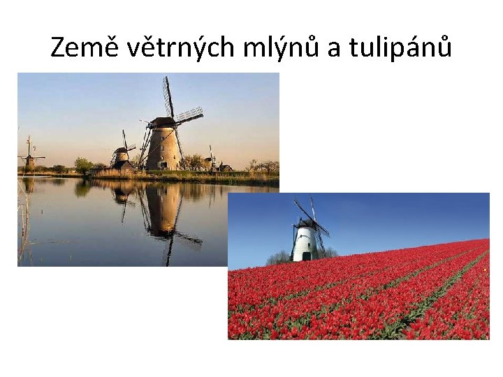 Země větrných mlýnů a tulipánů 