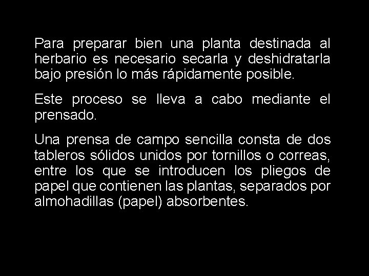 Para preparar bien una planta destinada al herbario es necesario secarla y deshidratarla bajo