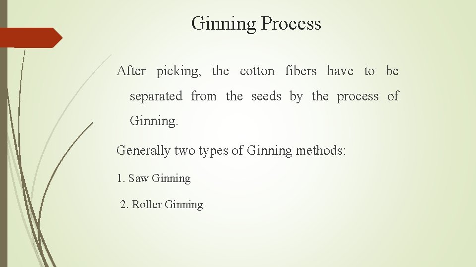 Ginning Process After picking, the cotton fibers have to be separated from the seeds