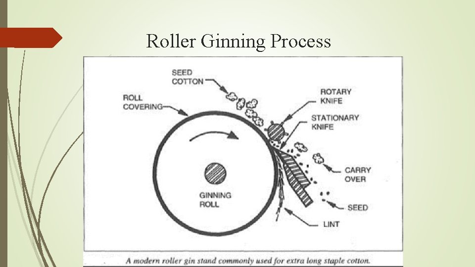 Roller Ginning Process 