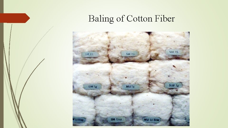 Baling of Cotton Fiber 
