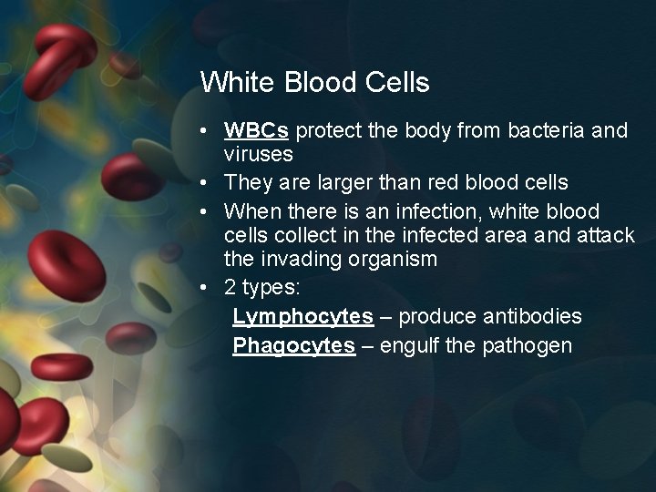 White Blood Cells • WBCs protect the body from bacteria and viruses • They