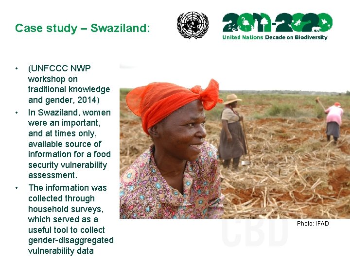 Case study – Swaziland: • • • (UNFCCC NWP workshop on traditional knowledge and