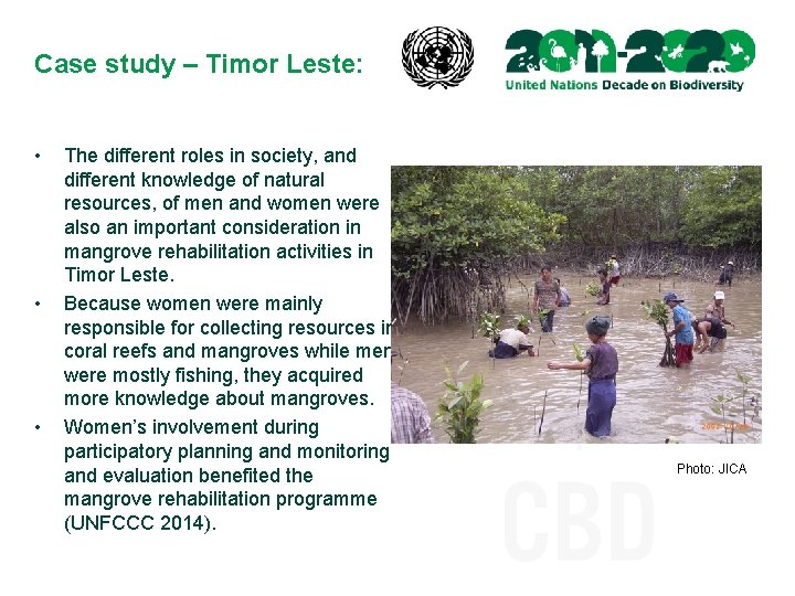 Case study – Timor Leste: • • • The different roles in society, and