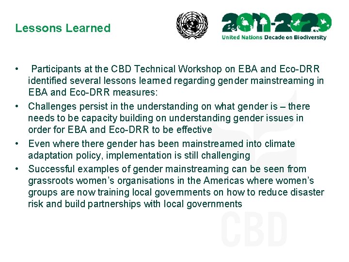 Lessons Learned • Participants at the CBD Technical Workshop on EBA and Eco-DRR identified