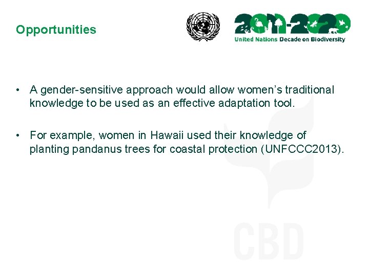 Opportunities • A gender-sensitive approach would allow women’s traditional knowledge to be used as