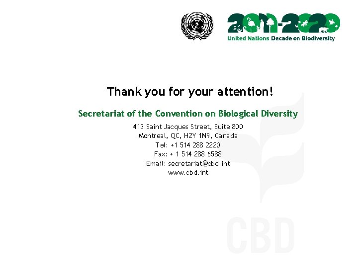Thank you for your attention! Secretariat of the Convention on Biological Diversity 413 Saint