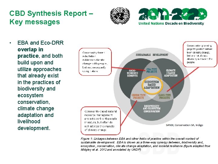 CBD Synthesis Report – Key messages • EBA and Eco-DRR overlap in practice, and