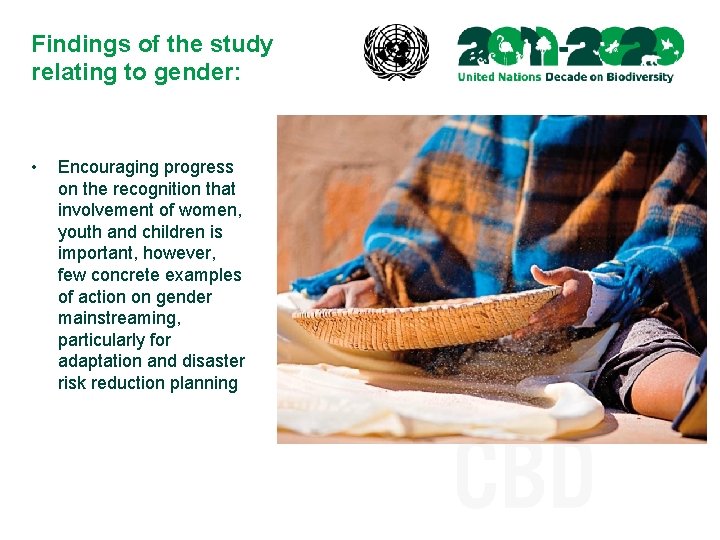 Findings of the study relating to gender: • Encouraging progress on the recognition that