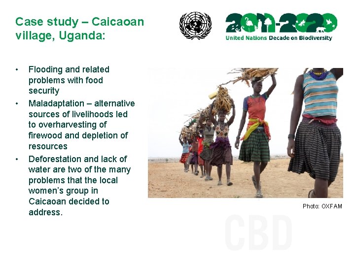 Case study – Caicaoan village, Uganda: • • • Flooding and related problems with
