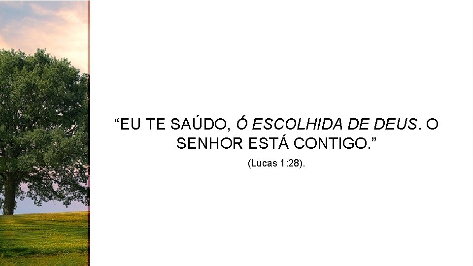 “EU TE SAÚDO, Ó ESCOLHIDA DE DEUS. O SENHOR ESTÁ CONTIGO. ” (Lucas 1: