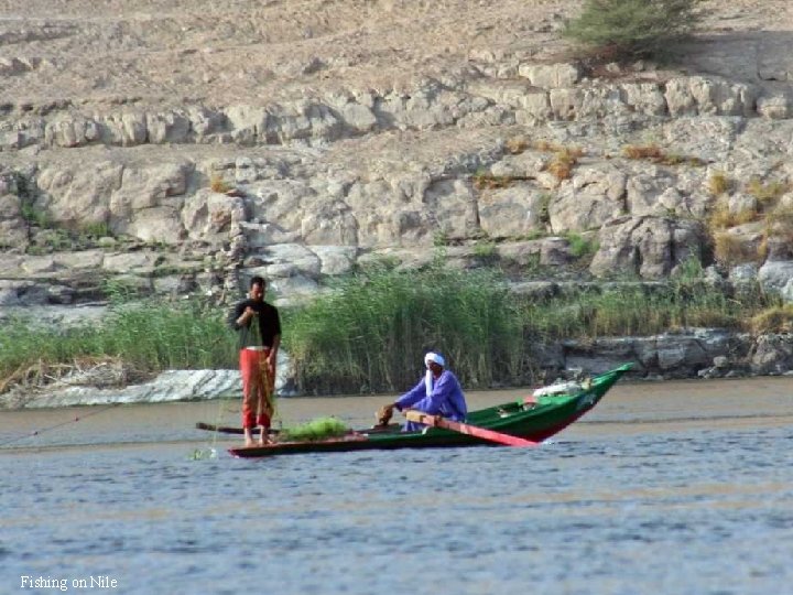 Fishing on Nile 