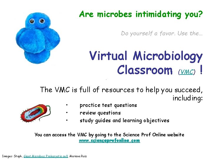 Are microbes intimidating you? Do yourself a favor. Use the… Virtual Microbiology Classroom (VMC)