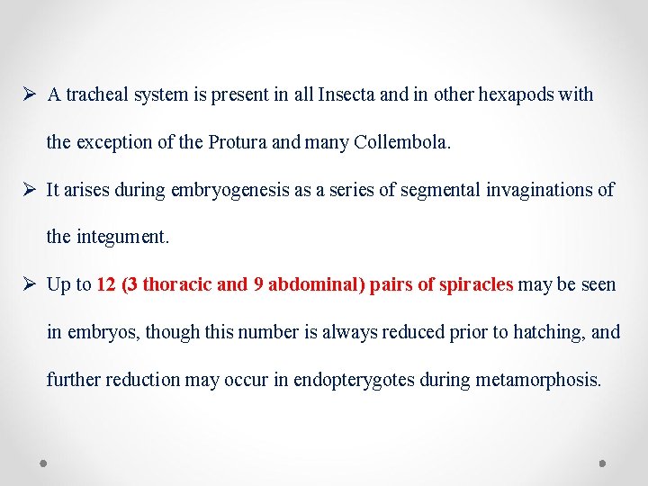 Ø A tracheal system is present in all Insecta and in other hexapods with