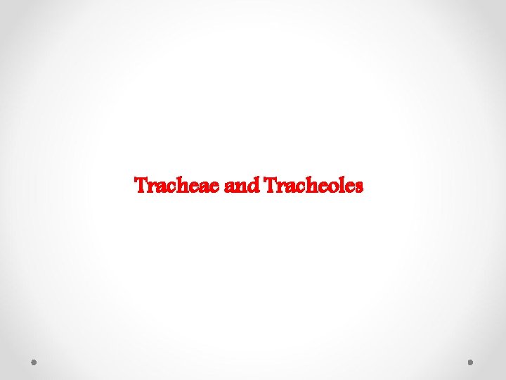 Tracheae and Tracheoles 