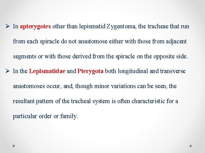 Ø In apterygotes other than lepismatid Zygentoma, the tracheae that run from each spiracle