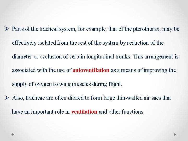 Ø Parts of the tracheal system, for example, that of the pterothorax, may be