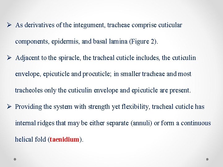 Ø As derivatives of the integument, tracheae comprise cuticular components, epidermis, and basal lamina