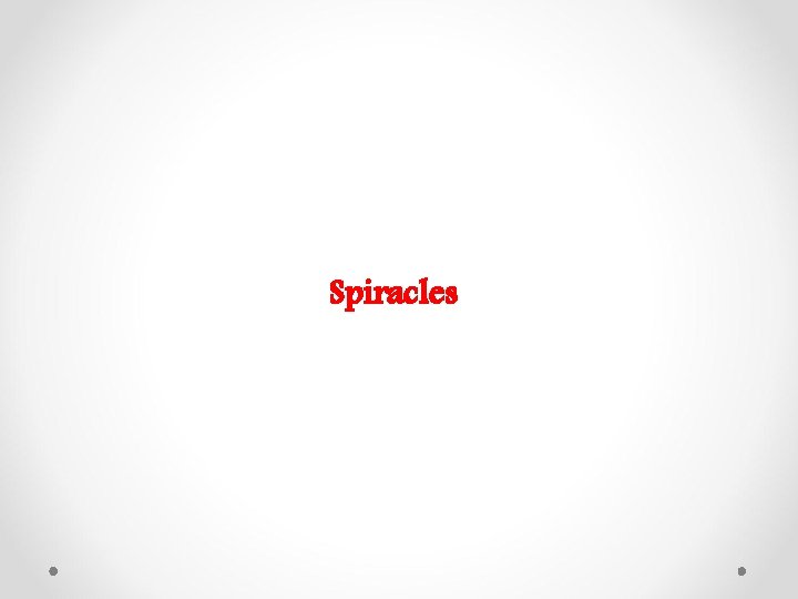 Spiracles 