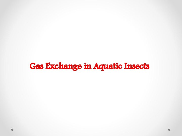 Gas Exchange in Aquatic Insects 