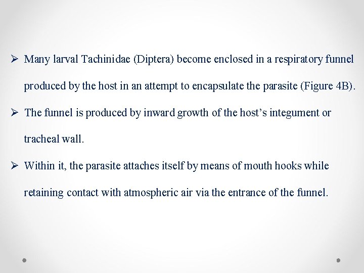 Ø Many larval Tachinidae (Diptera) become enclosed in a respiratory funnel produced by the