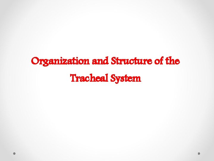 Organization and Structure of the Tracheal System 