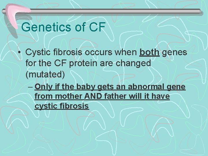 Genetics of CF • Cystic fibrosis occurs when both genes for the CF protein