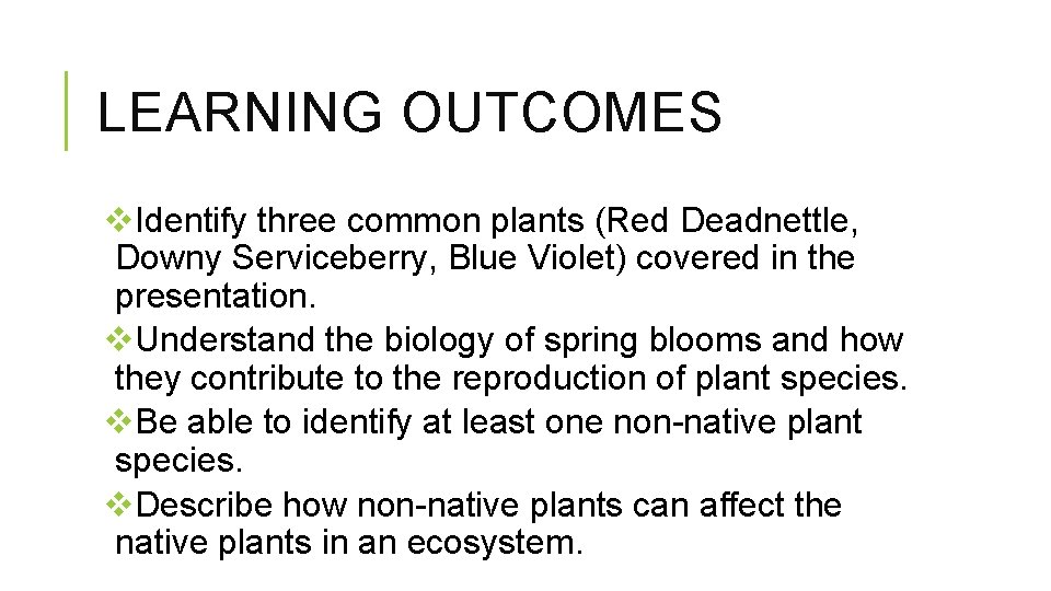 LEARNING OUTCOMES v. Identify three common plants (Red Deadnettle, Downy Serviceberry, Blue Violet) covered