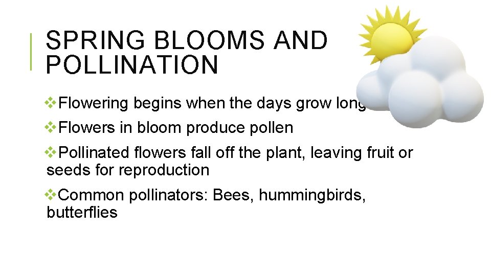 SPRING BLOOMS AND POLLINATION v. Flowering begins when the days grow longer v. Flowers