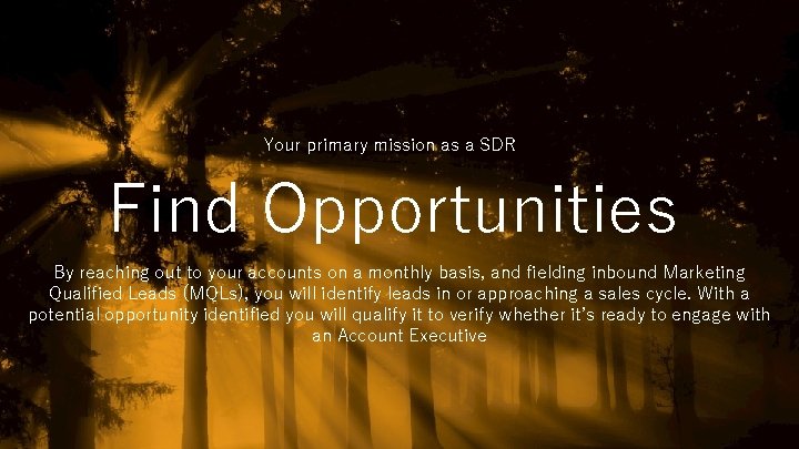 Your primary mission as a SDR Find Opportunities By reaching out to your accounts