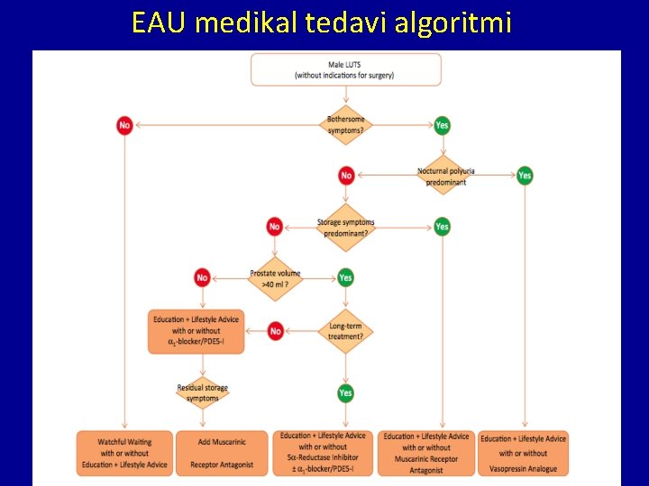 EAU medikal tedavi algoritmi 