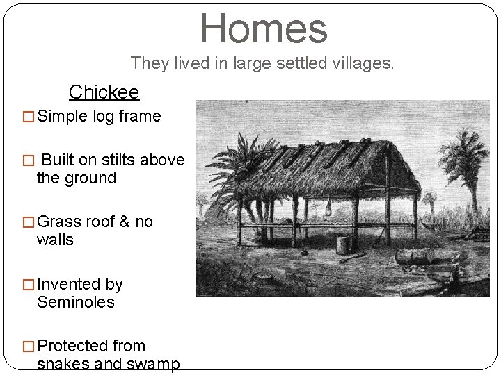 Homes They lived in large settled villages. Chickee � Simple log frame � Built