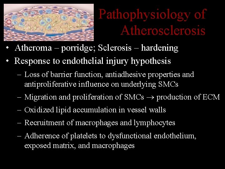 Pathophysiology of Atherosclerosis • Atheroma – porridge; Sclerosis – hardening • Response to endothelial