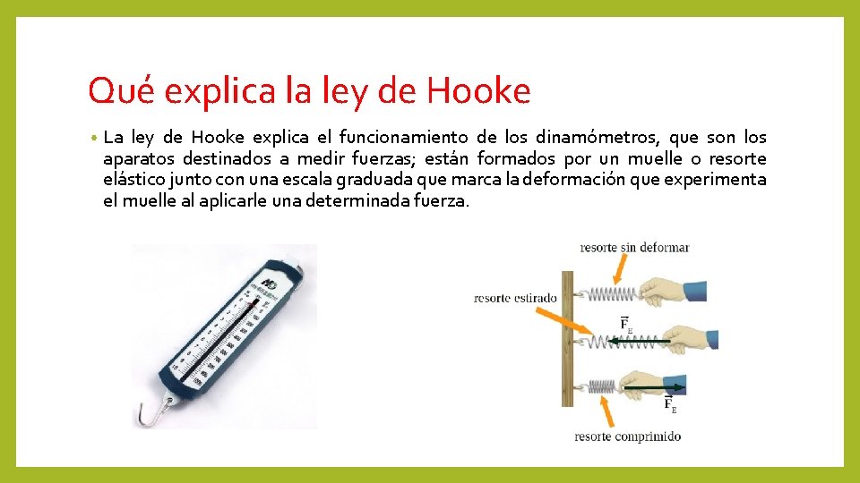 Qué explica la ley de Hooke • La ley de Hooke explica el funcionamiento
