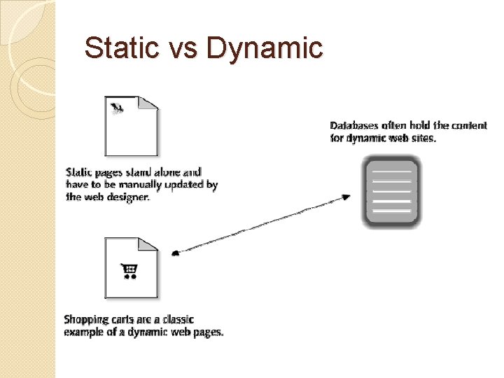 Static vs Dynamic 
