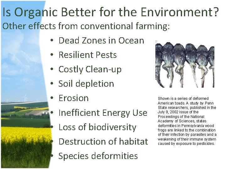 Is Organic Better for the Environment? Other effects from conventional farming: • Dead Zones