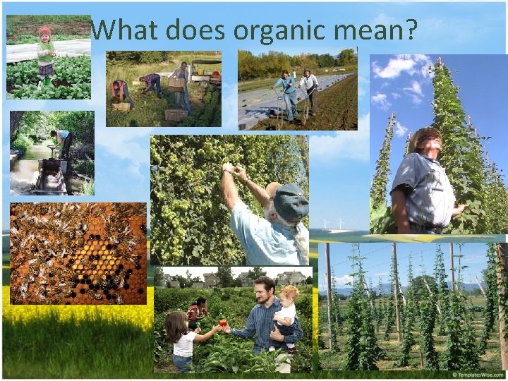 What does organic mean? 