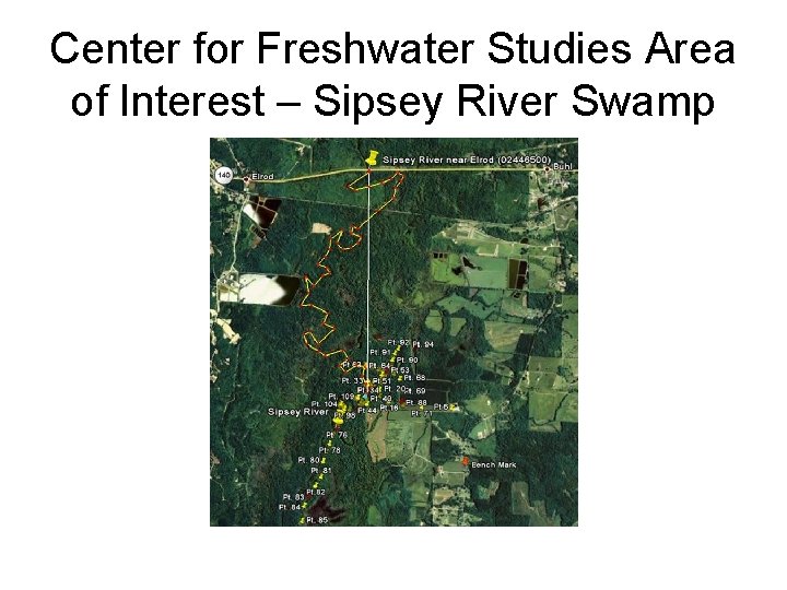 Center for Freshwater Studies Area of Interest – Sipsey River Swamp 