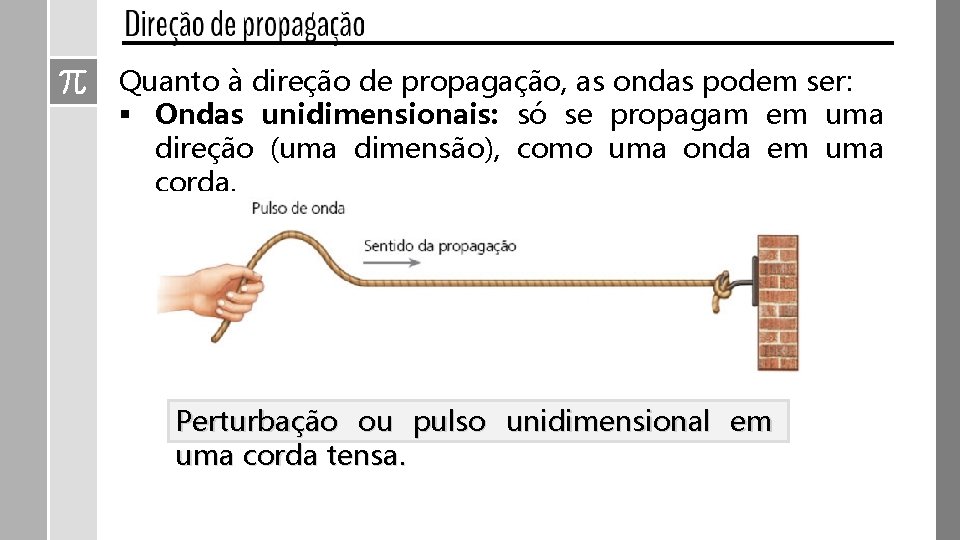 Quanto à direção de propagação, as ondas podem ser: § Ondas unidimensionais: só se